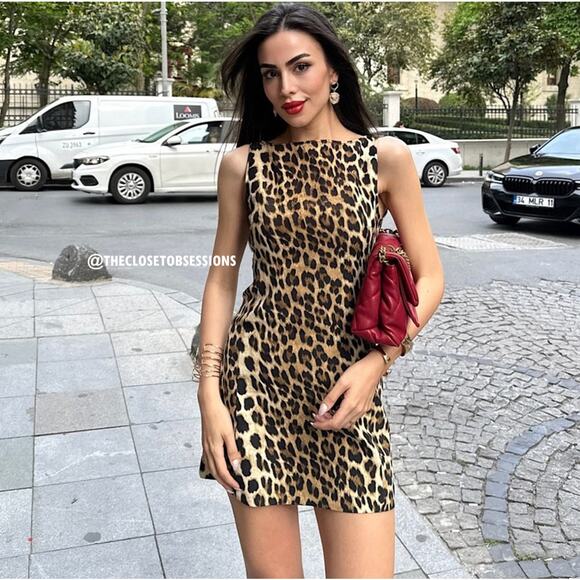 ZARA BLOGGER FAVE!!! A-Line Mini Dress NWT - Picture 1 of 16